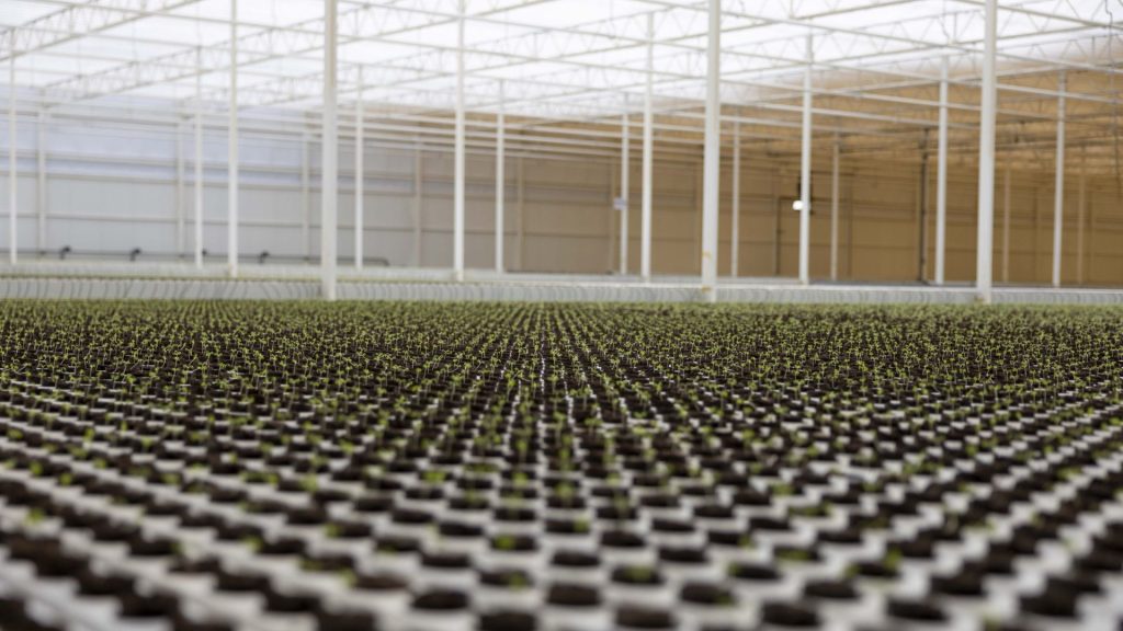Topian high-tech greenhouse in Oxagon