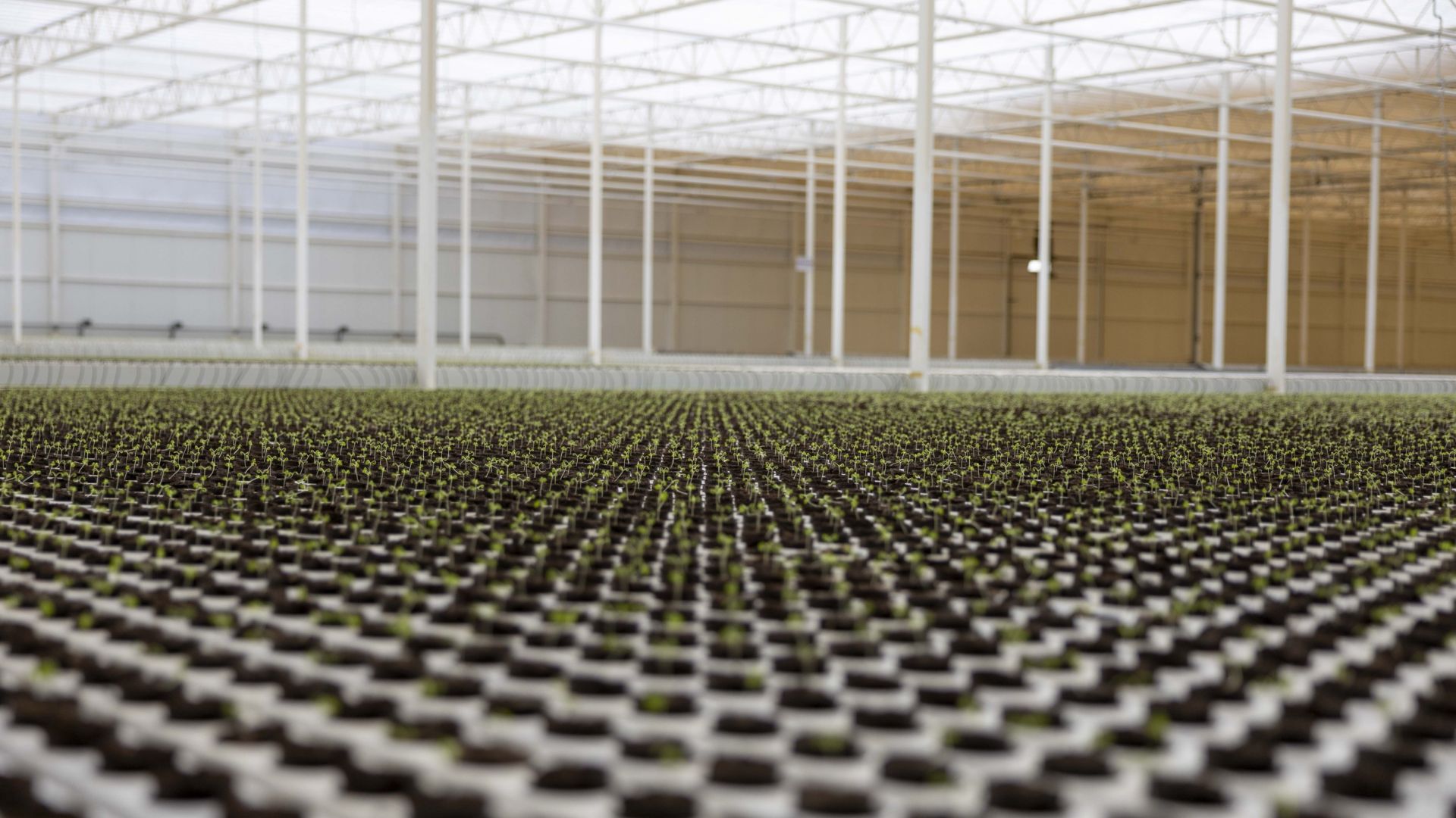 Topian high-tech greenhouse in Oxagon