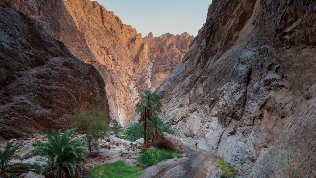 Wadis of NEOM — regional context, not a verified view of Wadi Surr