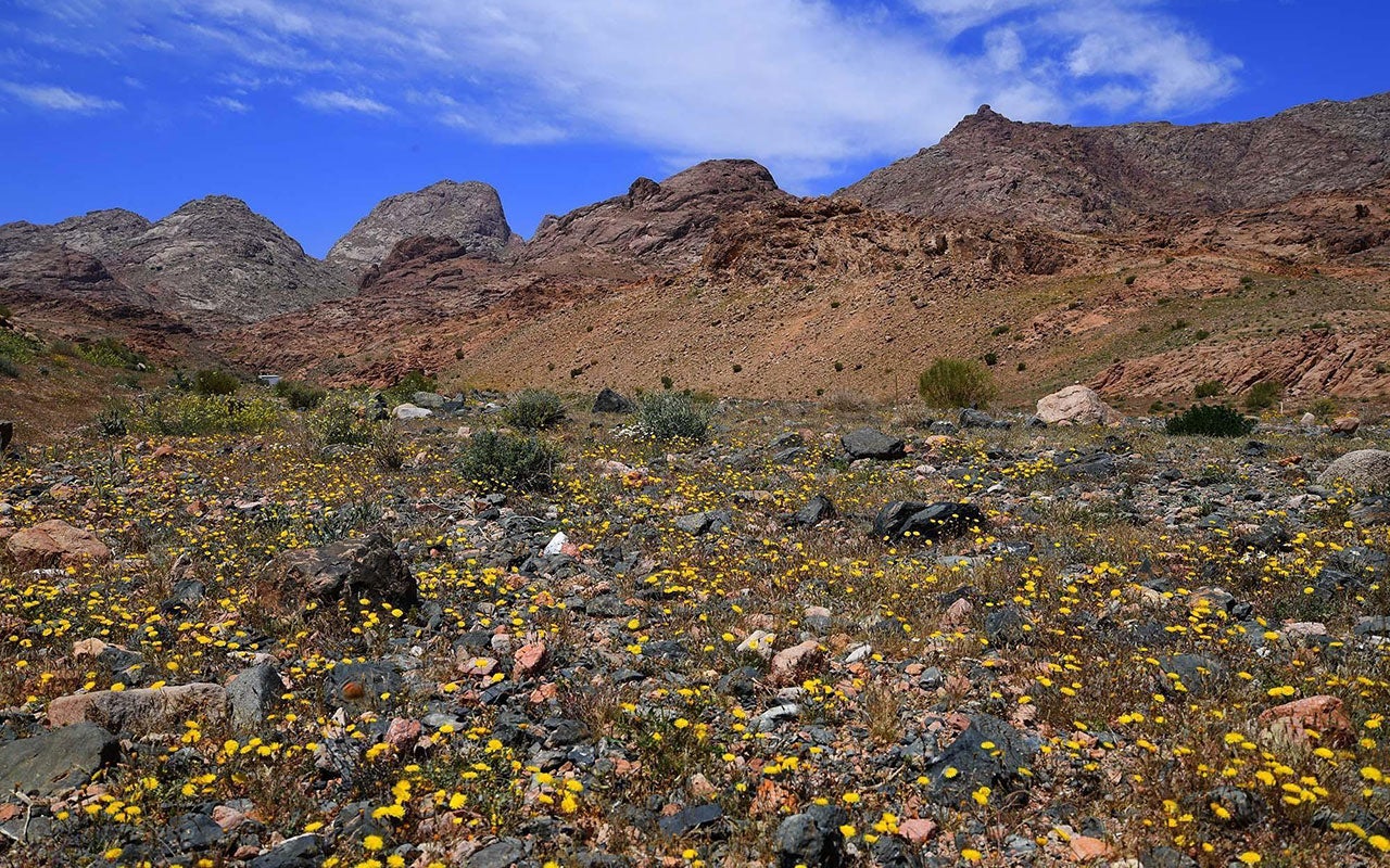 Jabal Al Lawz